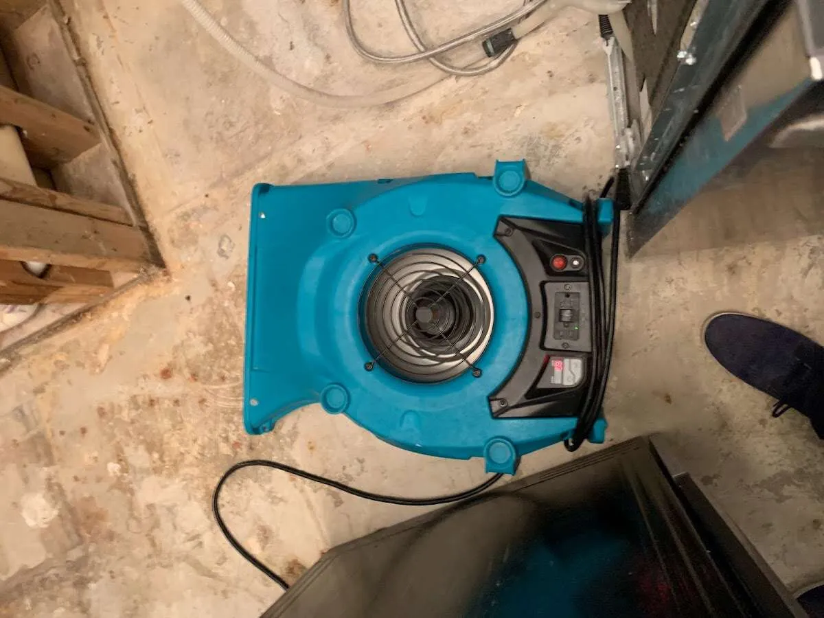 Air mover drying equipment for Mold Remediation & Removal in Kimberly